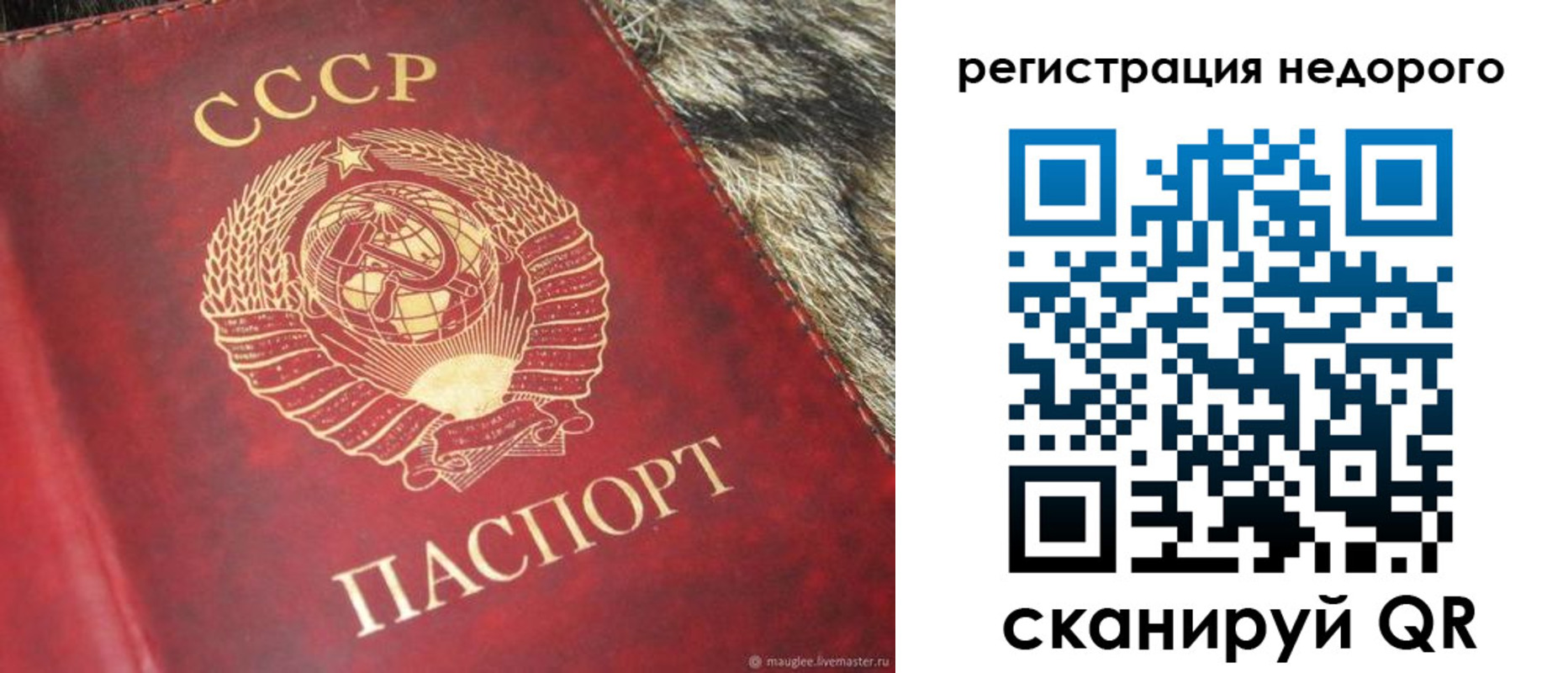 прописка ребенка в Фрязино