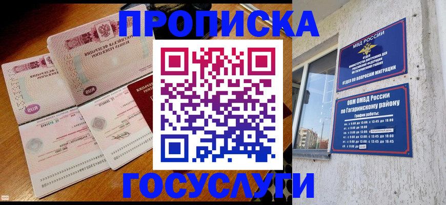 где прописаться в Фрязино